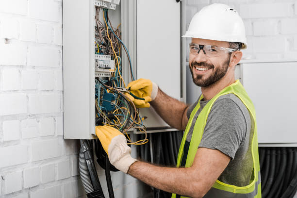 Best Electric Panel Repair  in Roxborough Park, CO